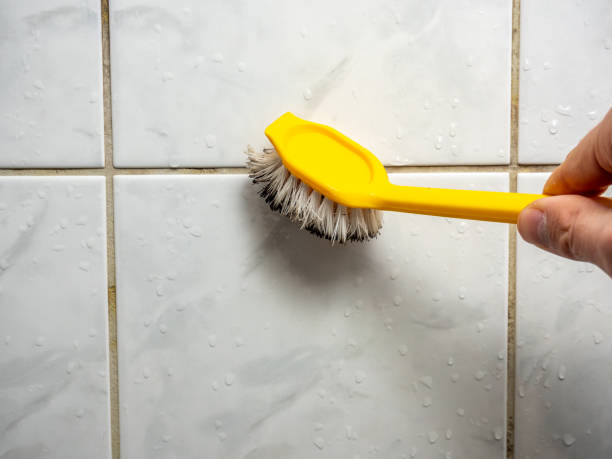 Best Best Mold Removal Companies  in Newton, MS