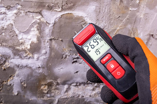 Best Mold Removal and Inspection  in Newton, MS