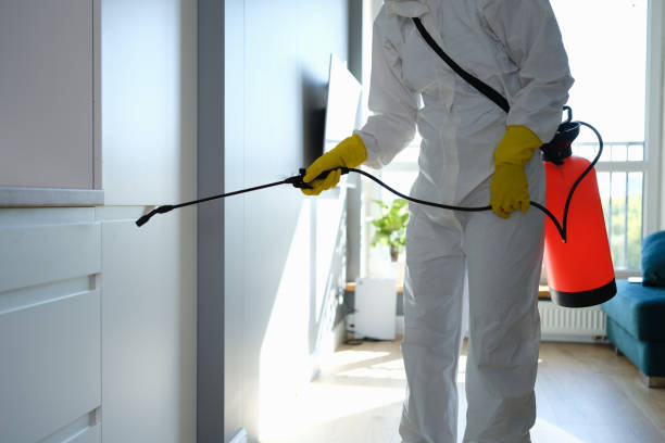 Best Attic Mold Removal  in Newton, MS