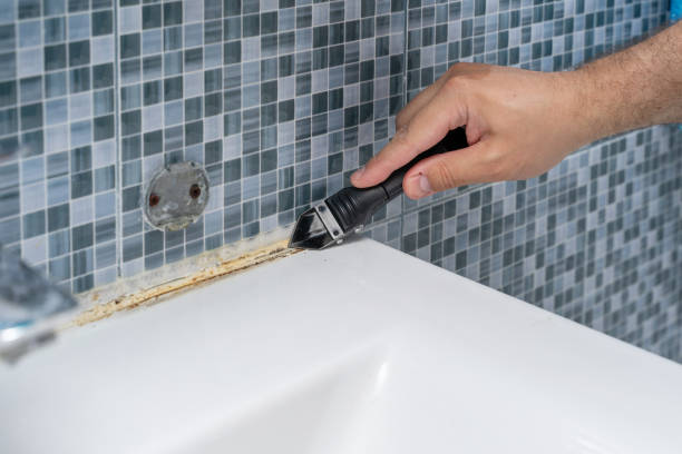 Mold Removal and Inspection in Newton, MS