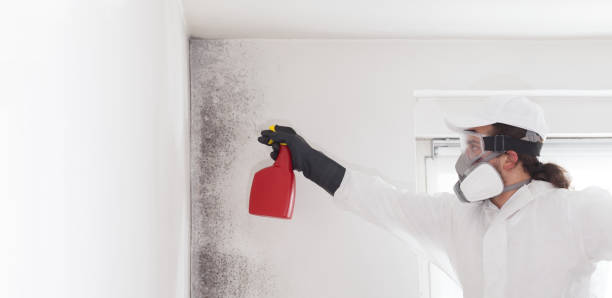 Best Mold Testing  in Newton, MS